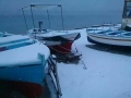 calabria-neve-44