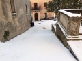 neve-bova