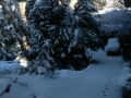 neve-fossato-3
