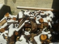 neve-lanzina (2)