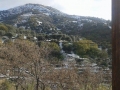 neve-lanzina (9)