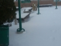 neve-roccaforte