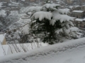 nevicata-roccaforte (3)