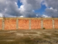 palestra-cannavo-rc-06
