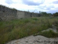 palestra-cannavo-rc-27