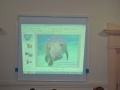 presentazione-fossile-bova (20)