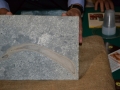 presentazione-fossile-bova (24)