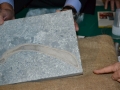 presentazione-fossile-bova (25)