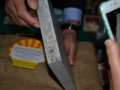 presentazione-fossile-bova (26)
