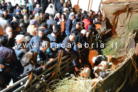 presepe-vivente-bagaladi-2013-n2-64