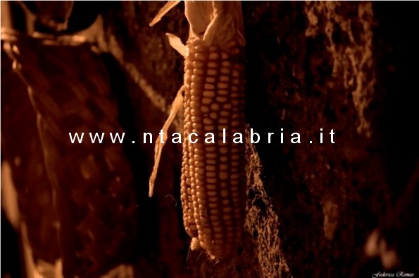 presepe-vivente-bagaladi-n3-43