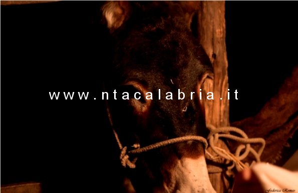 presepe-vivente-bagaladi-n3-67