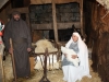 presepe-vivente-bagaladi-06-01-14-n1-87