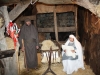 presepe-vivente-bagaladi-06-01-14-n1-88