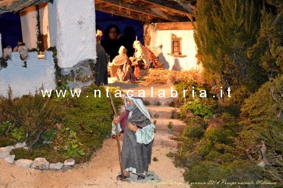 presepe-melicucco-060114-05