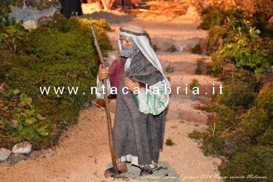 presepe-melicucco-060114-06
