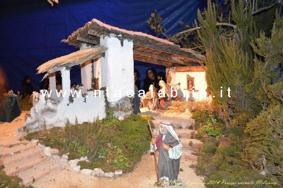 presepe-melicucco-060114-07