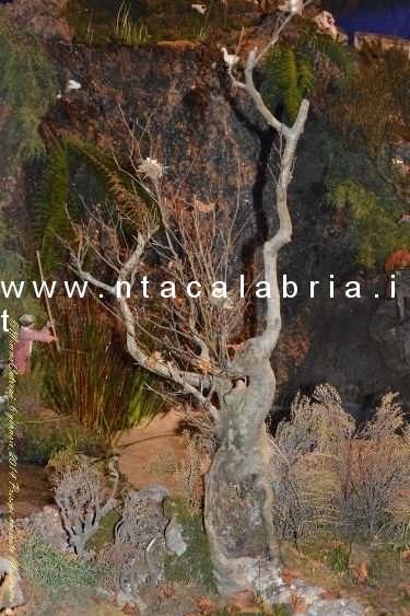 presepe-melicucco-060114-27