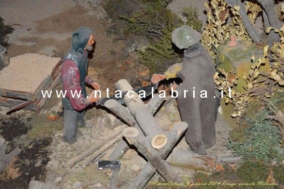 presepe-melicucco-060114-31