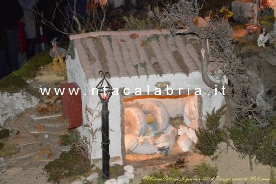 presepe-melicucco-060114-32