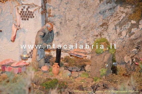 presepe-melicucco-060114-41