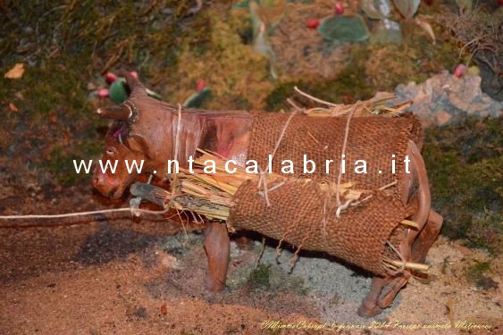 presepe-melicucco-060114-42