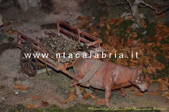 presepe-melicucco-060114-44