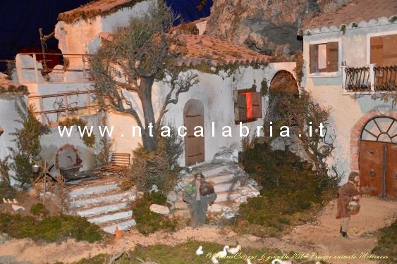 presepe-melicucco-060114-49