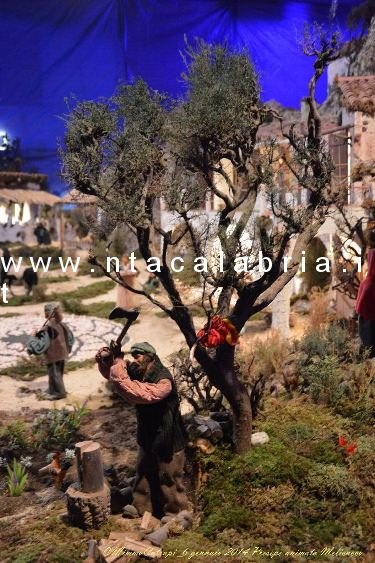 presepe-melicucco-060114-53
