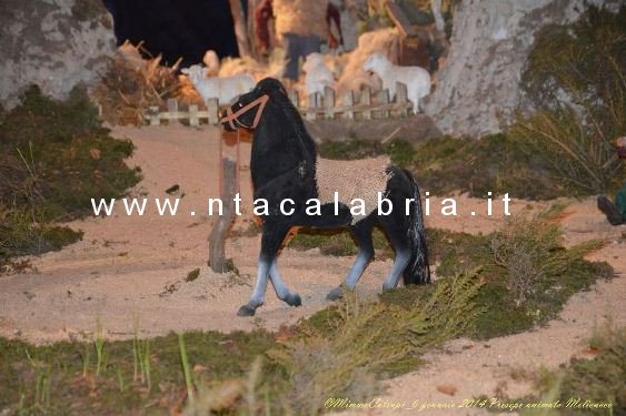 presepe-melicucco-060114-66