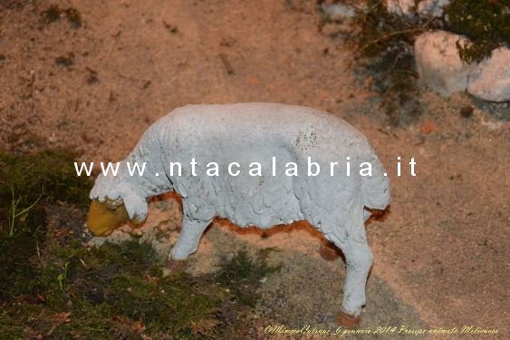presepe-melicucco-060114-67