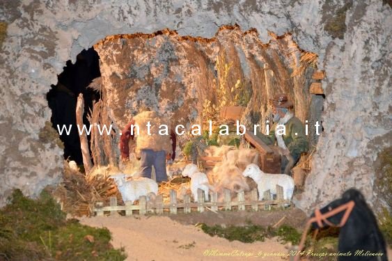 presepe-melicucco-060114-72