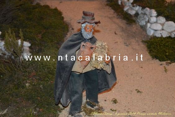 presepe-melicucco-060114-77