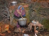 presepe-melicucco-060114-43