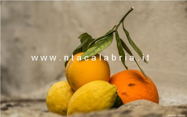 presepe-pentedattilo-2013-100