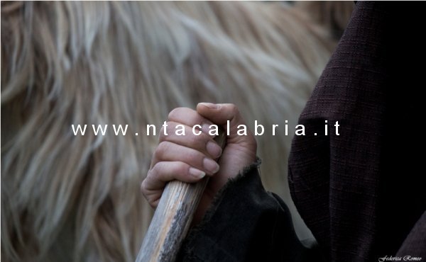 presepe-pentedattilo-2013-56