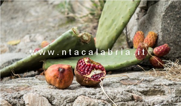 presepe-pentedattilo-2013-92