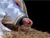 presepe-pentedattilo-2013-120