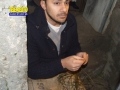 bagaladi-presepe-vivente-122