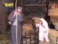 bagaladi-presepe-vivente-143