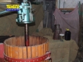 bagaladi-presepe-vivente-167