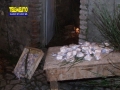 bagaladi-presepe-vivente-168