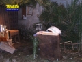 bagaladi-presepe-vivente-73