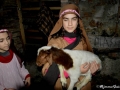 presepe-vivente-fiumara-20
