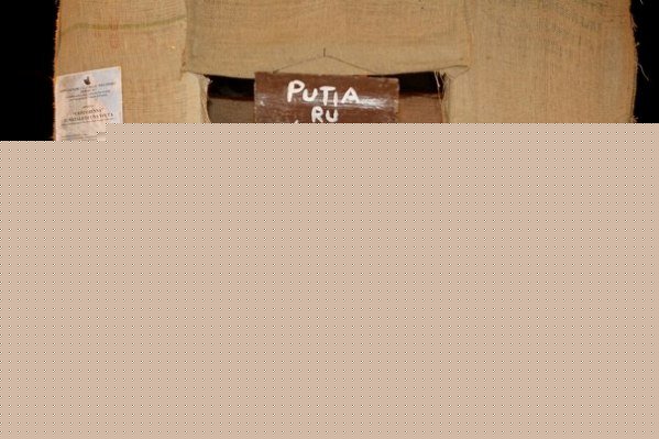 presepe-2013-fiumara-16