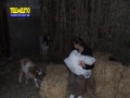 presepe-vivente-sanlorenzo-178