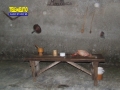 presepe-vivente-sanlorenzo-215