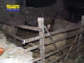presepe-vivente-san-pantaleone-19