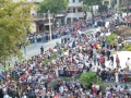 processione-madonna-consolazione-reggio-calabria (2)
