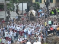 processione-madonna-consolazione-reggio-calabria (37)